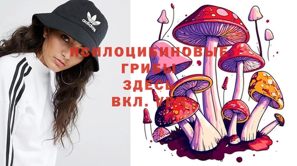 кокаин перу Белокуриха