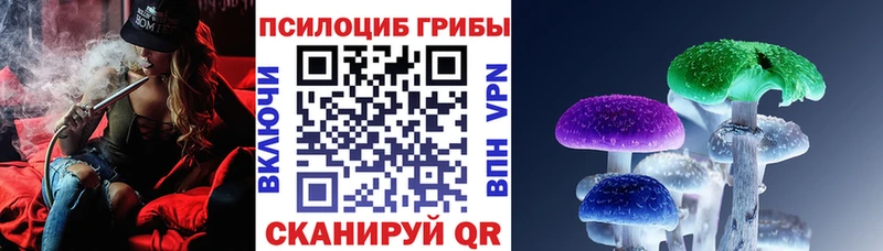 Галлюциногенные грибы мицелий  хочу наркоту  kraken tor  Плёс 
